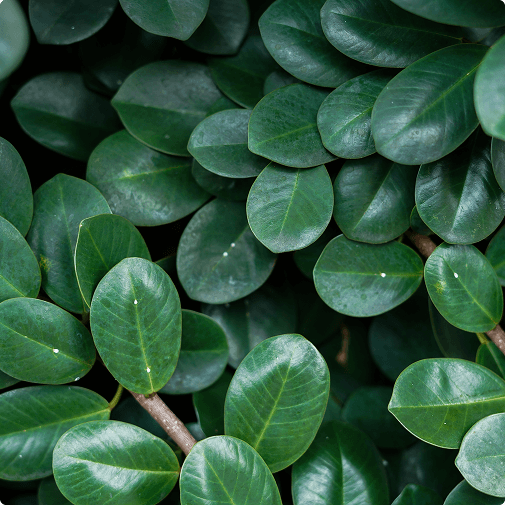 Edifício moderno projetando uma sombra